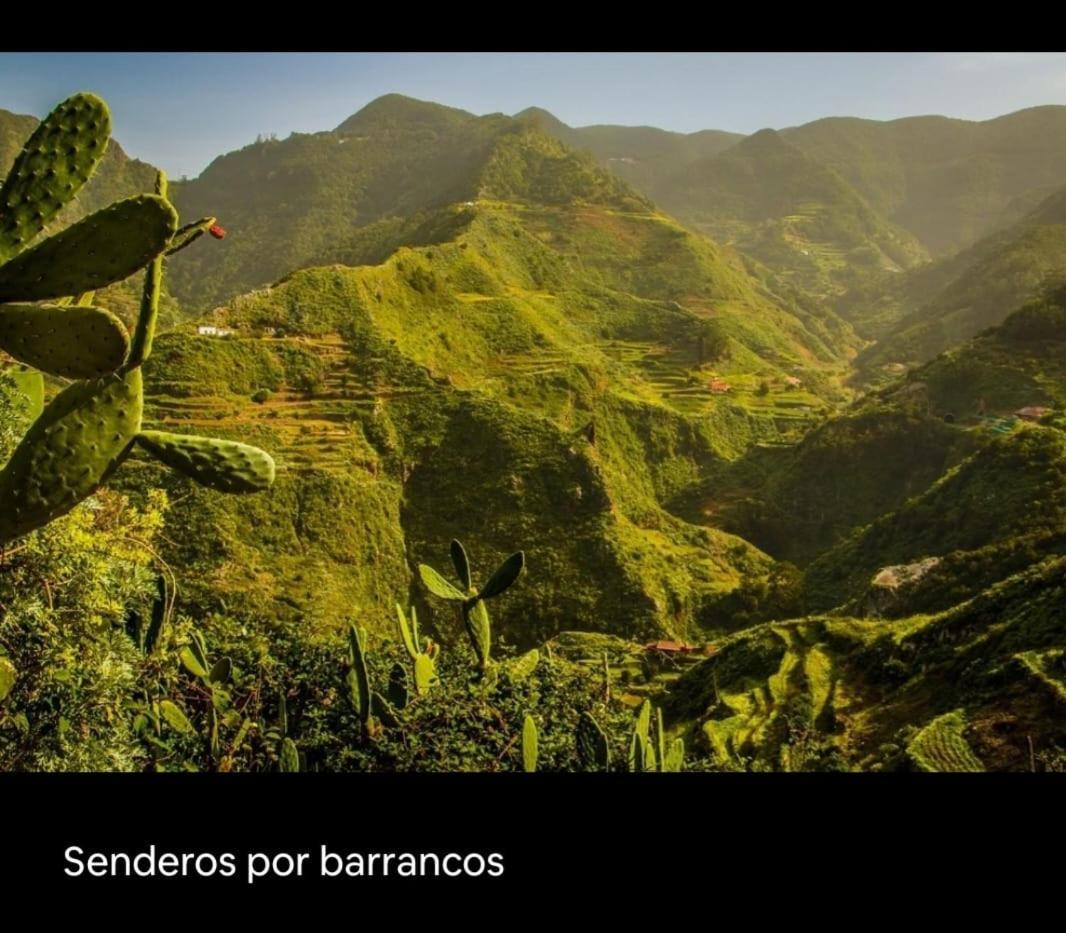 Playa Benijo Paraiso Rural Trail Santa Cruz de Tenerife Exterior foto